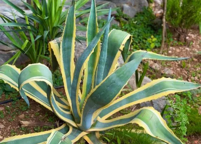 Ferienhaus House - 2m From